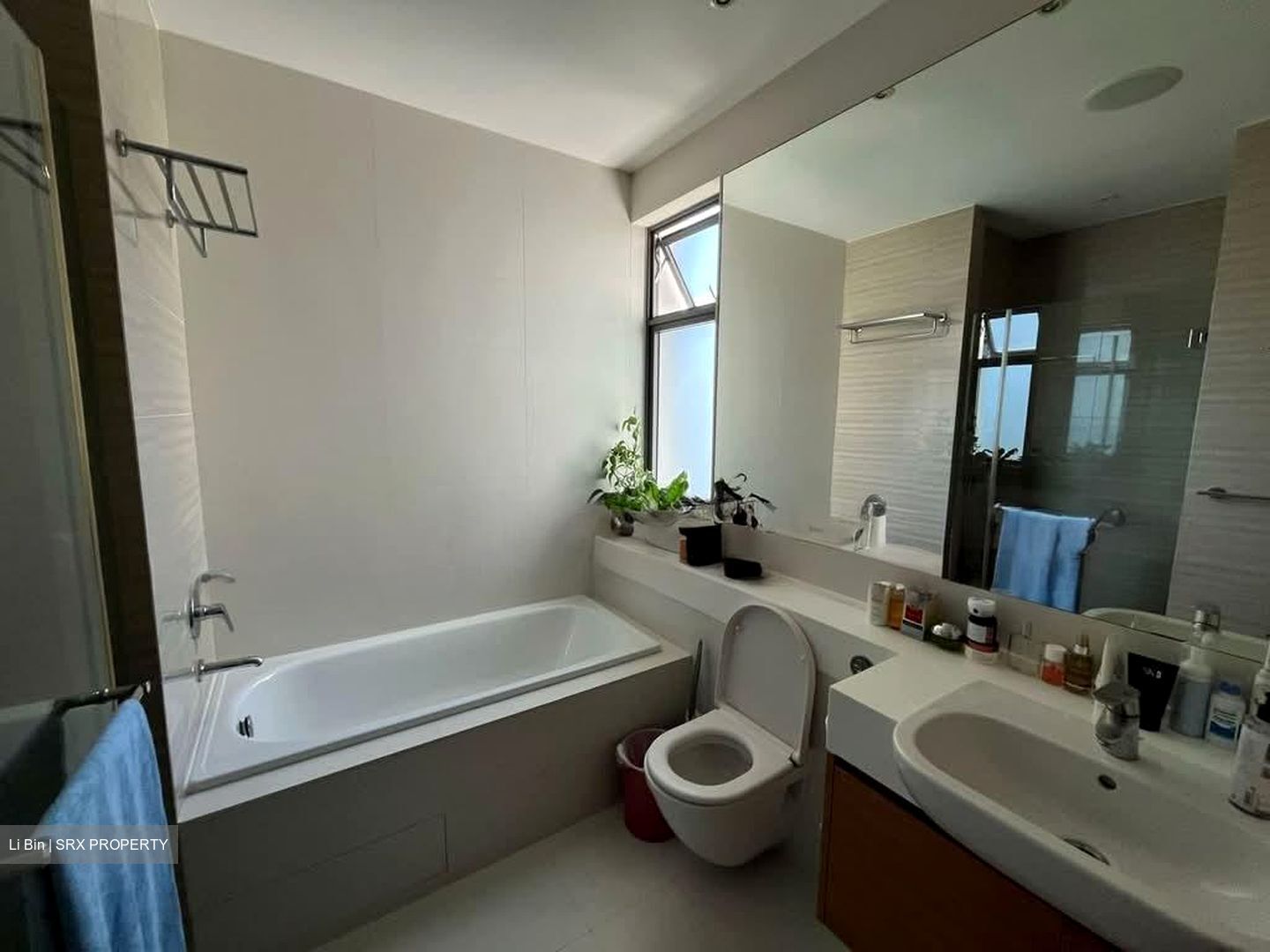 The Skywoods (D23), Condominium #594854511